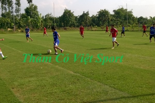 SÂN BÓNG ĐÁ AN GIANG