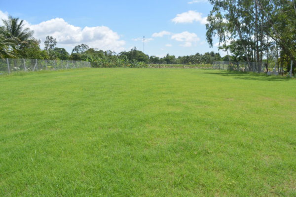 SÂN BÓNG ĐÁ PHÚ TÂN – AN GIANG