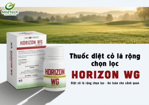 1 Thuốc diệt cỏ lá rộng chọn lọc HORIZON WG