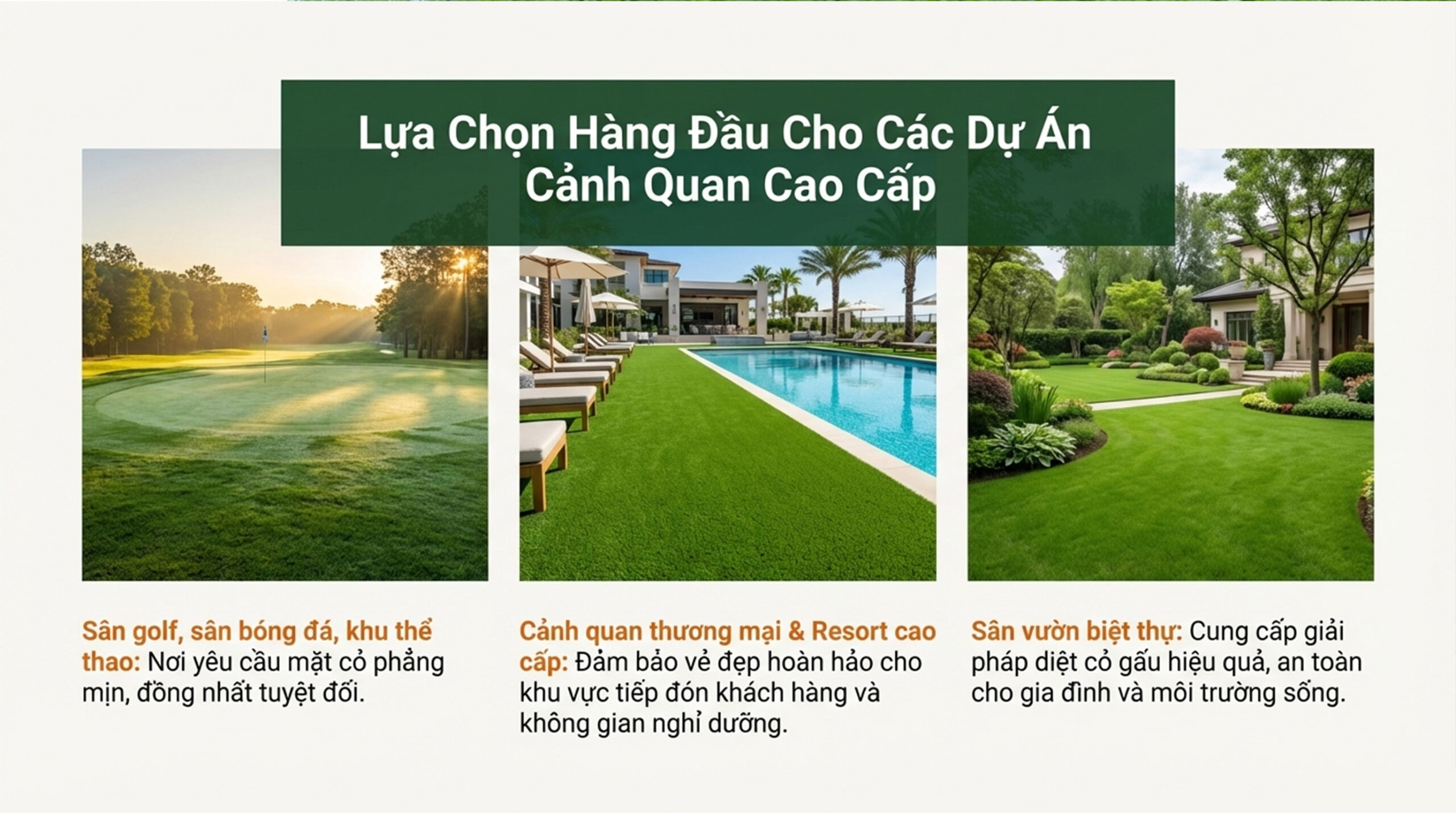 HALO PLUS có ảnh hưởng đến cỏ cảnh quan không - Dự án cảnh quan nào nên chọn Halo Plus 