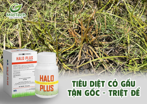 HALO PLUS Thuốc diệt cỏ gấu tận gốc, hiệu quả kéo dài đến 12 tháng - Banner Website 1