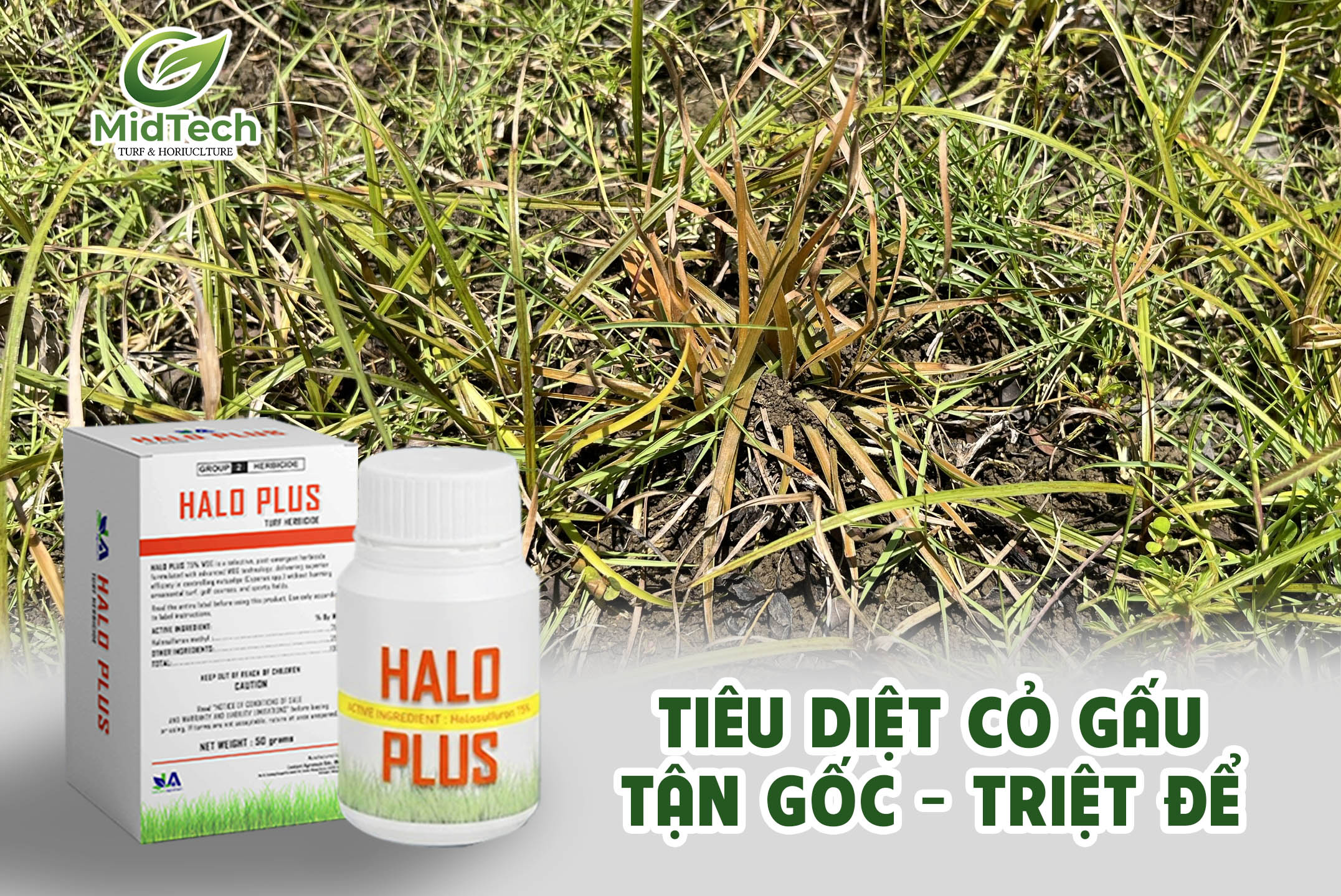 HALO PLUS Thuốc diệt cỏ gấu tận gốc, hiệu quả kéo dài đến 12 tháng - Banner Website 1 HALO PLUS Thuốc diệt cỏ gấu tận gốc, hiệu quả kéo dài đến 12 tháng - Banner Website 1