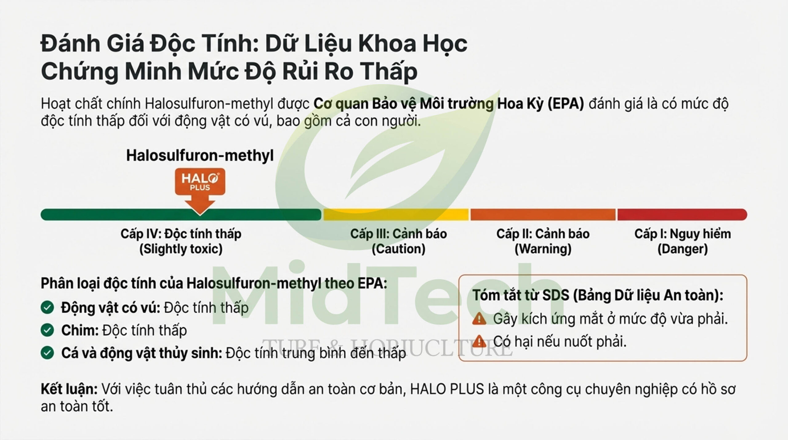 HALO PLUS có an toàn cho người sử dụng 1 HALO PLUS có an toàn cho người sử dụng 1