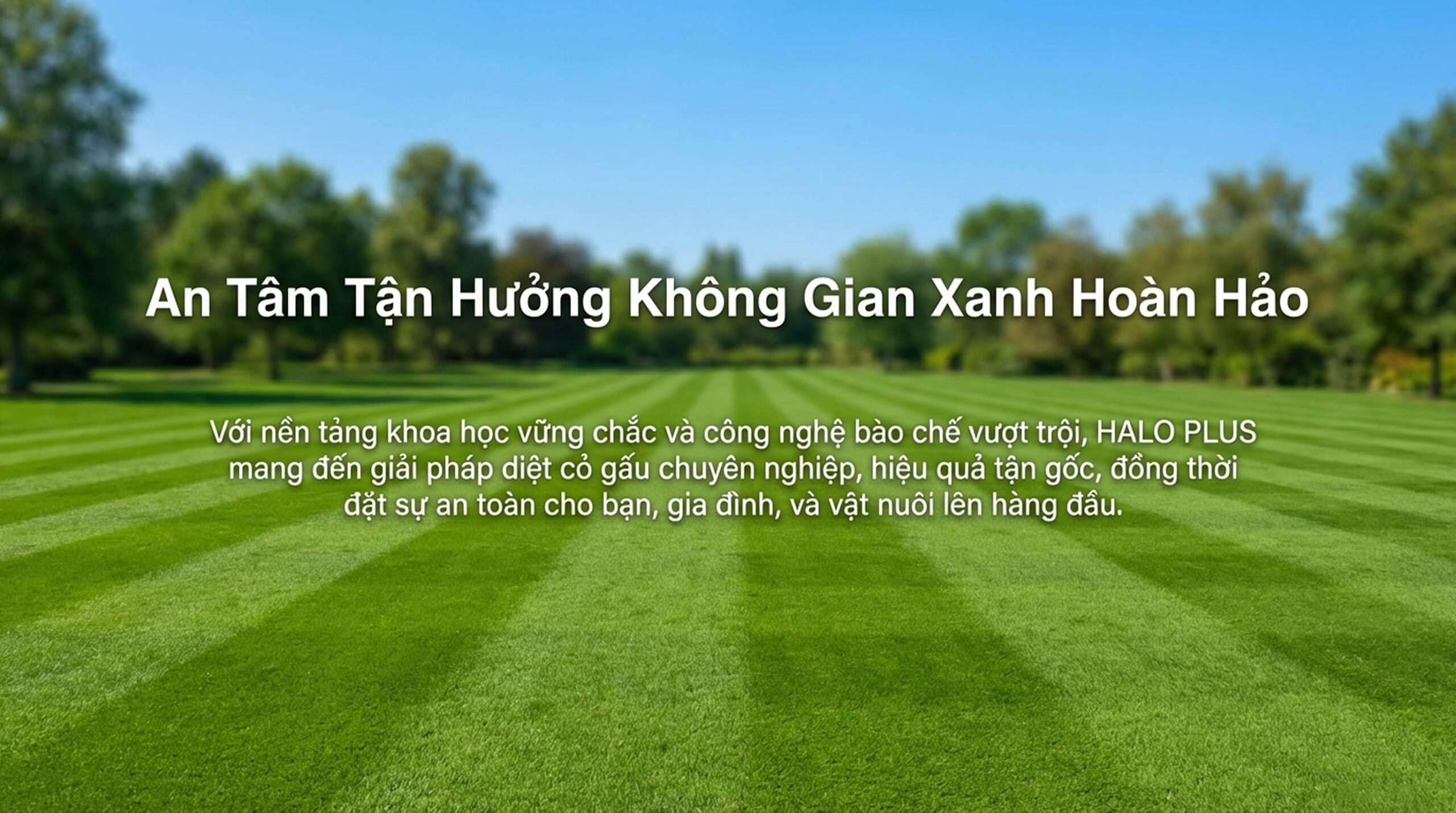 HALO PLUS có an toàn cho người sử dụng - Dự án phù hợp HALO PLUS có an toàn cho người sử dụng - Dự án phù hợp