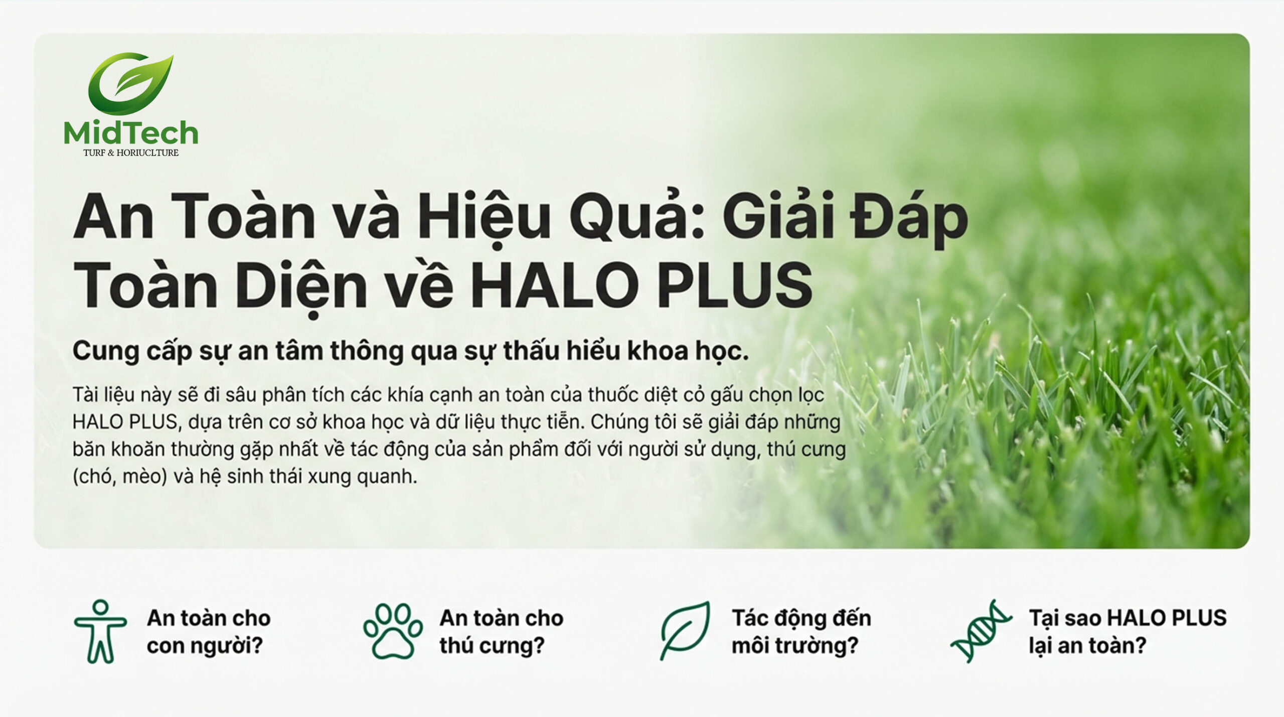 HALO PLUS có an toàn cho người sử dụng - Giải đáp thắc mắc HALO PLUS có an toàn cho người sử dụng - Giải đáp thắc mắc