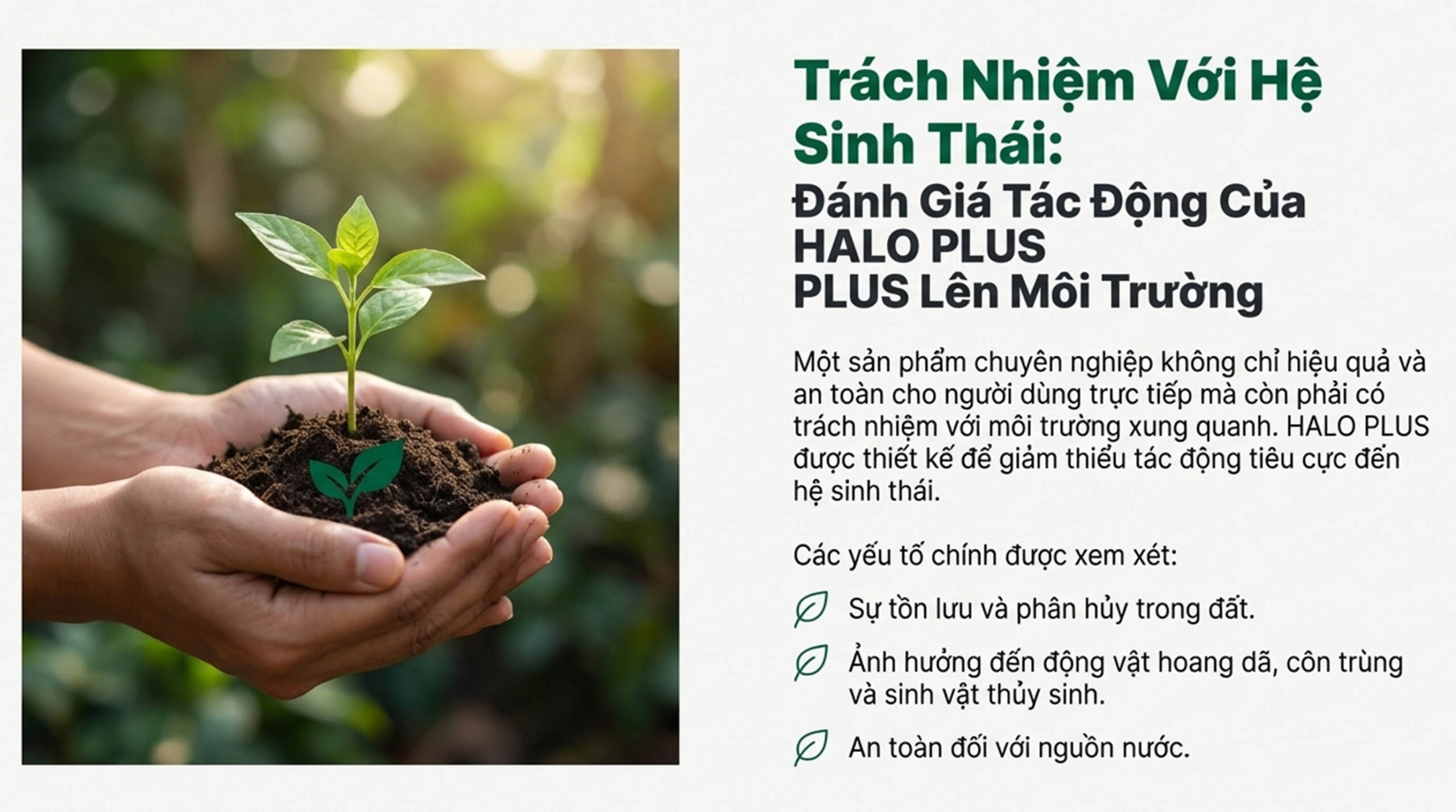 HALO PLUS có an toàn cho người sử dụng - Môi trường HALO PLUS có an toàn cho người sử dụng - Môi trường
