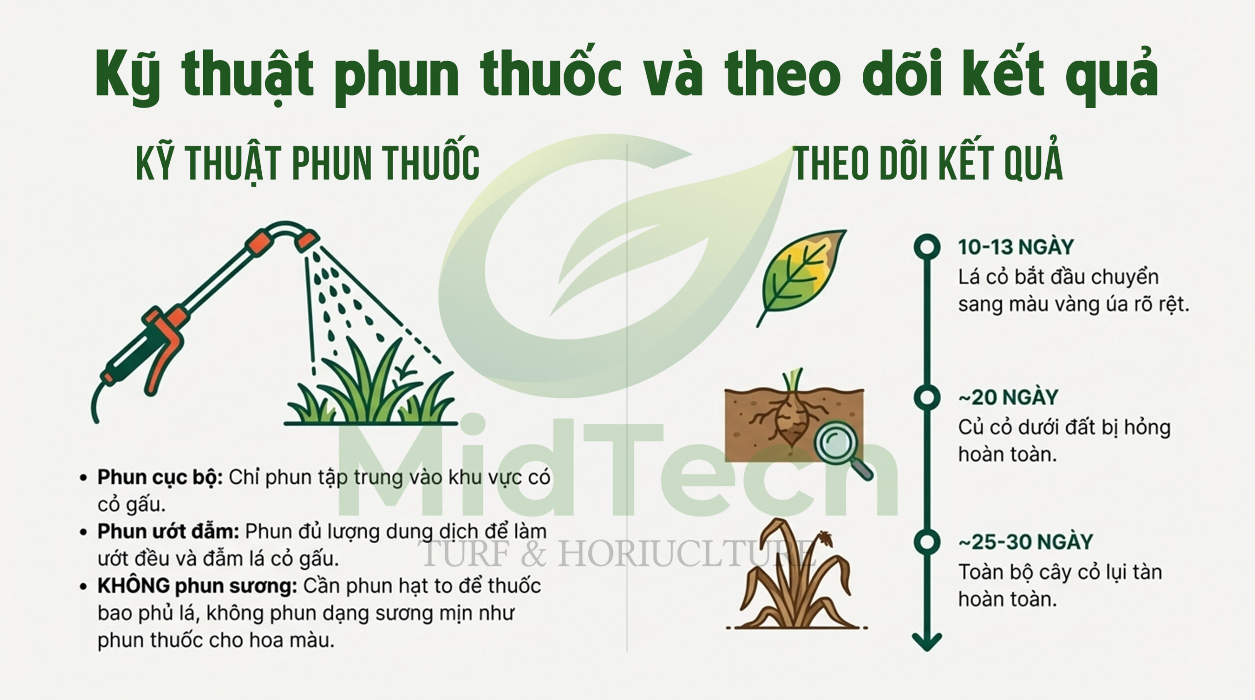 HALO PLUS có diệt được cỏ gấu tận gốc không - KỸ THUẬT PHUN
