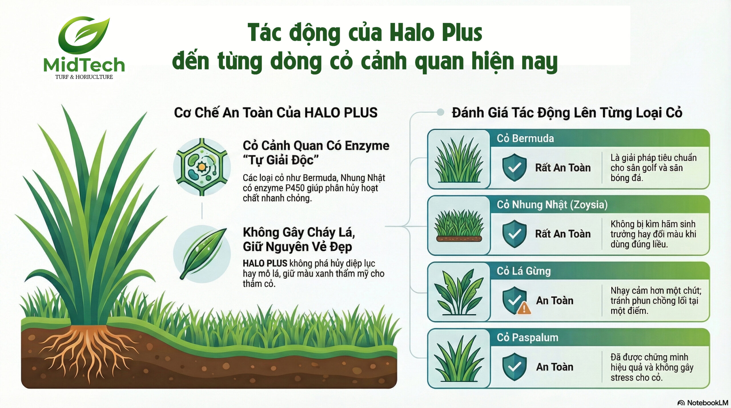 HALO PLUS có ảnh hưởng đến cỏ cảnh quan không - Tác động của Halo Plus đến từng dòng cỏ cảnh quan hiện nay