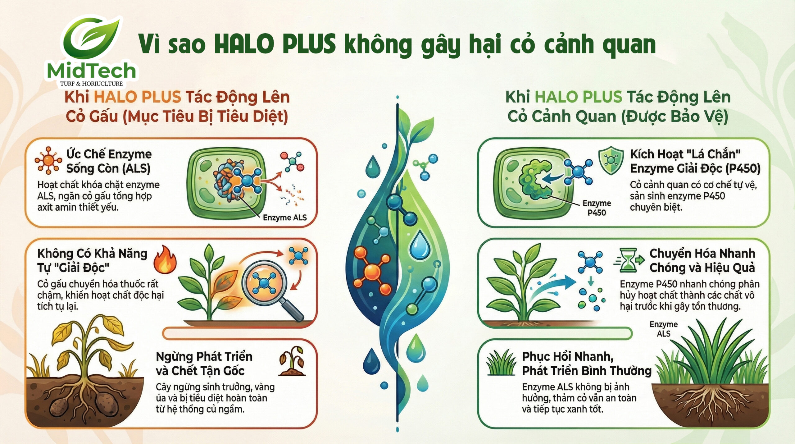 HALO PLUS có ảnh hưởng đến cỏ cảnh quan không - Vì sao HALO PLUS không gây hại cỏ cảnh quan