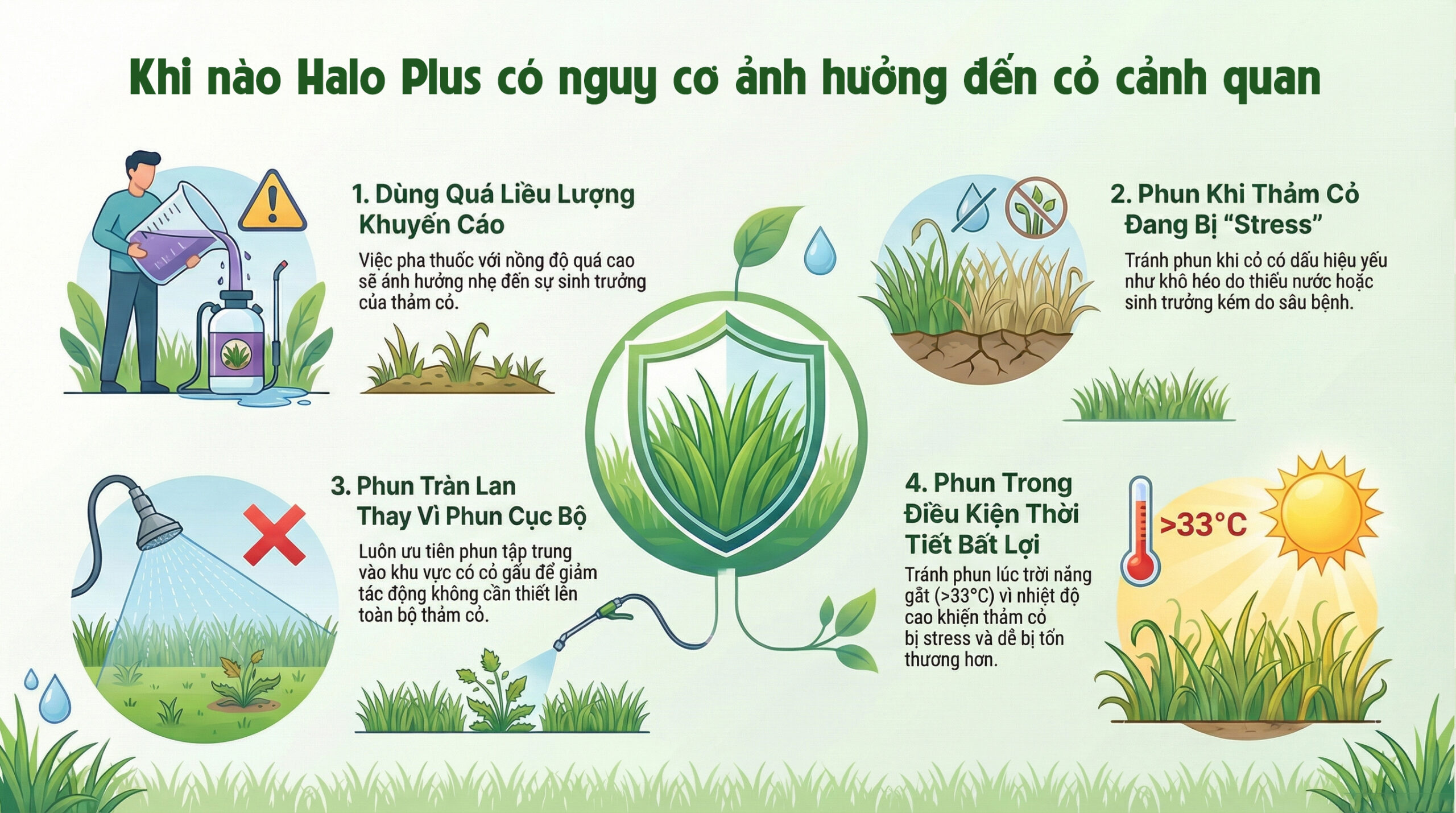 HALO PLUS có ảnh hưởng đến cỏ cảnh quan không - Khi nào Halo Plus có nguy cơ ảnh hưởng đến cỏ cảnh quan