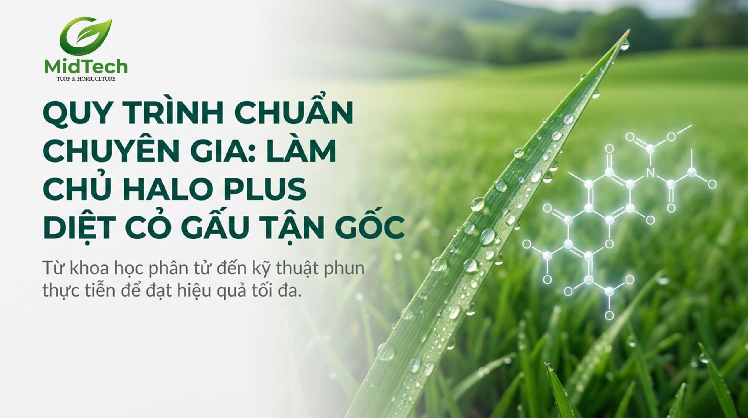 Quy trình pha và phun thuốc cỏ gấu HALO PLUS chuẩn chuyên gia 1