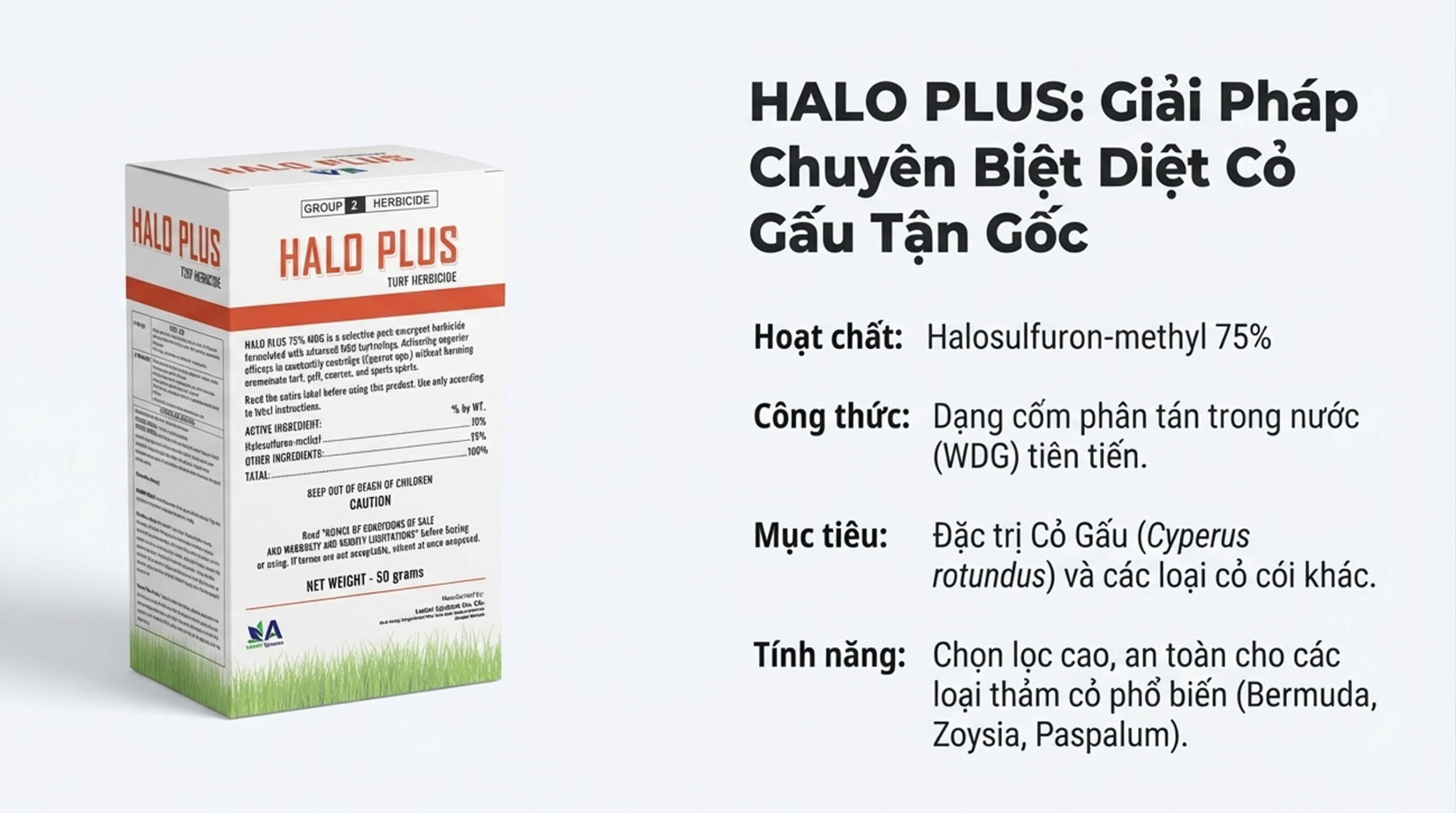 Quy trình pha và phun thuốc cỏ gấu HALO PLUS chuẩn chuyên gia 2