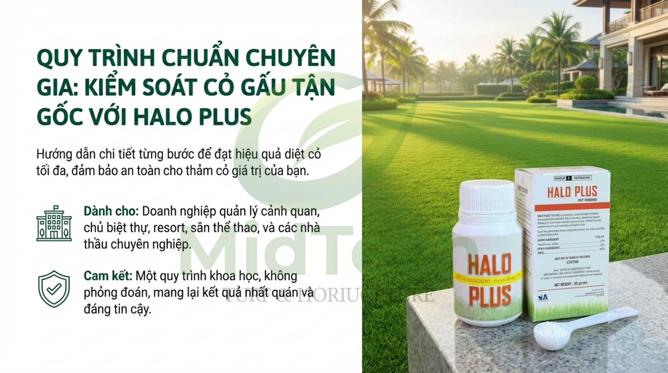 Quy trình pha và phun thuốc cỏ gấu HALO PLUS chuẩn chuyên gia 3