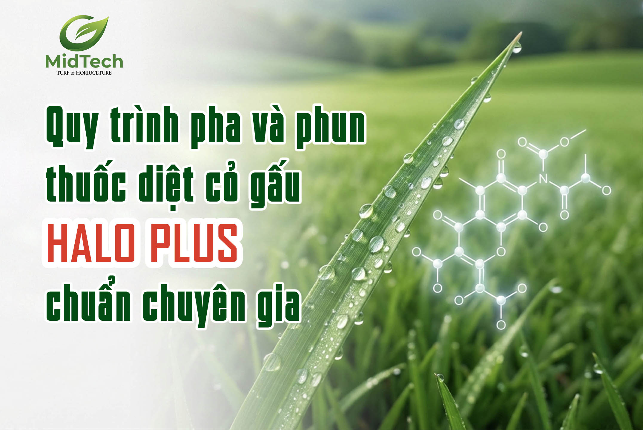 Quy trình pha và phun thuốc cỏ gấu HALO PLUS chuẩn chuyên gia - Banner Website