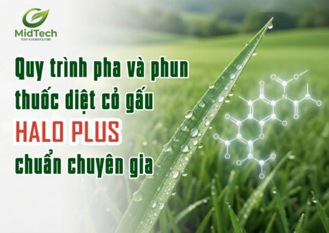 Quy trình pha và phun thuốc cỏ gấu HALO PLUS chuẩn chuyên gia - Banner Website