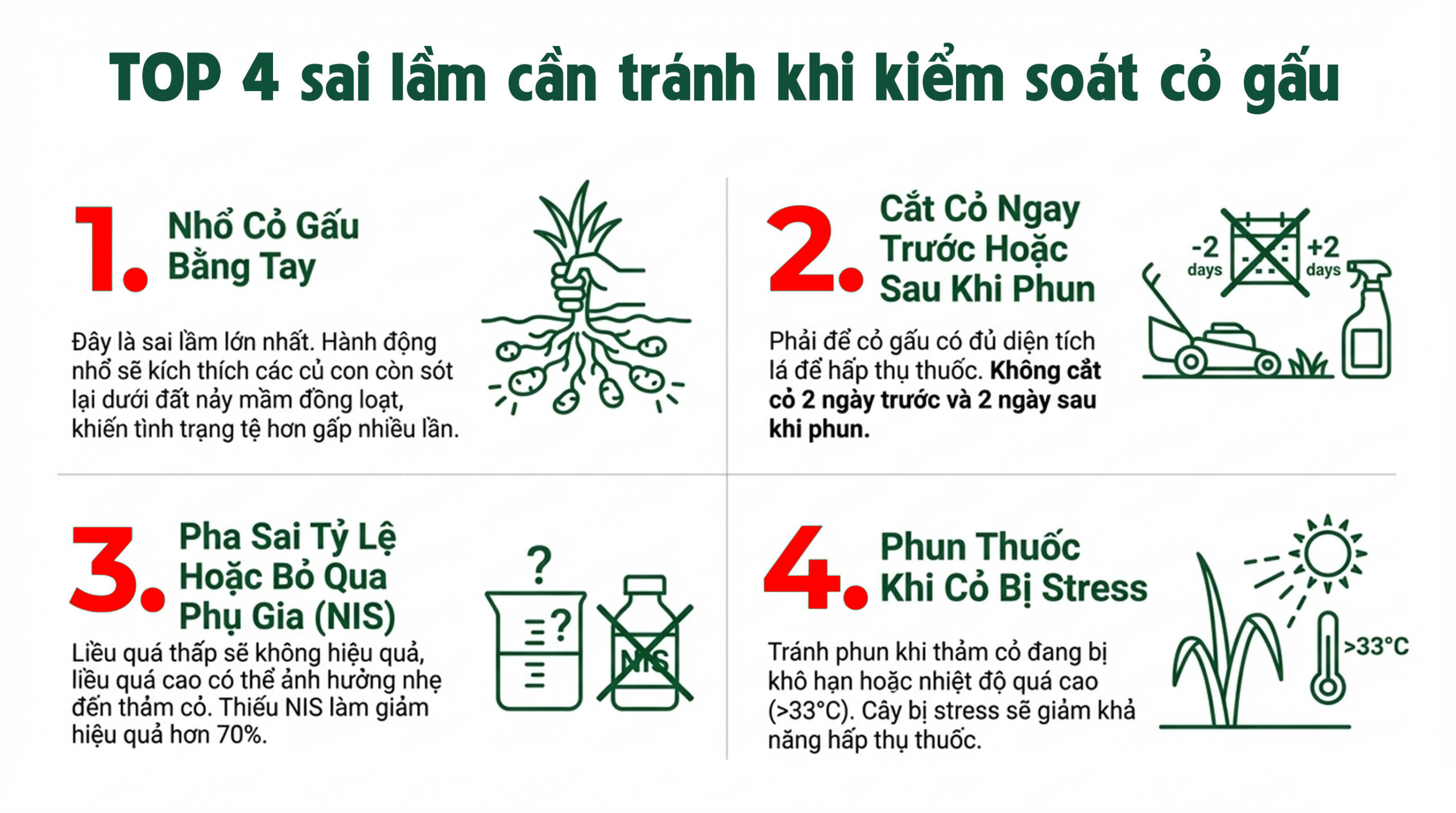Quy trình pha và phun thuốc cỏ gấu HALO PLUS chuẩn chuyên gia - Phun dặm lại và kiểm soát dài hạn