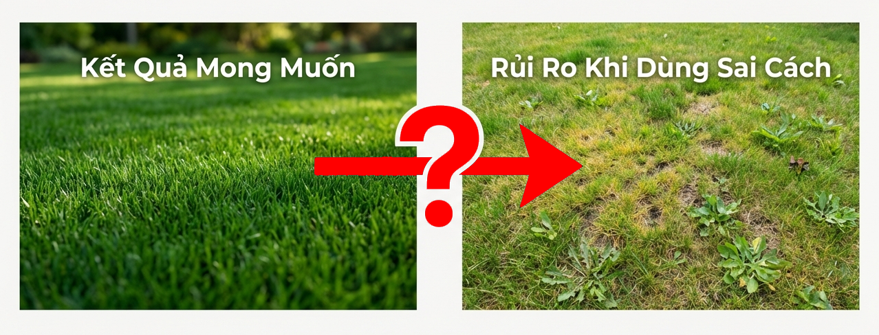 TOP 7 sai lầm cần tránh khi sử dụng thuốc diệt cỏ lá rộng Horizon WG 11