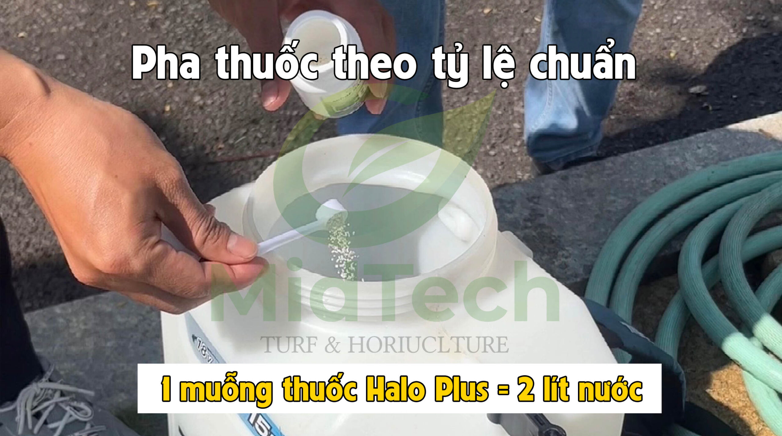Thuốc diệt cỏ gấu HALO PLUS - Pha thuốc