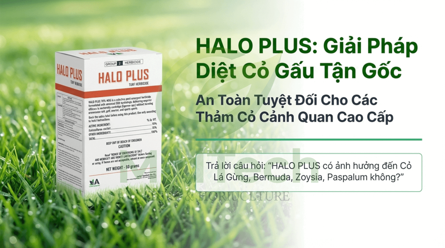 Thuốc diệt cỏ gấu HALO PLUS - Ưu điểm 1