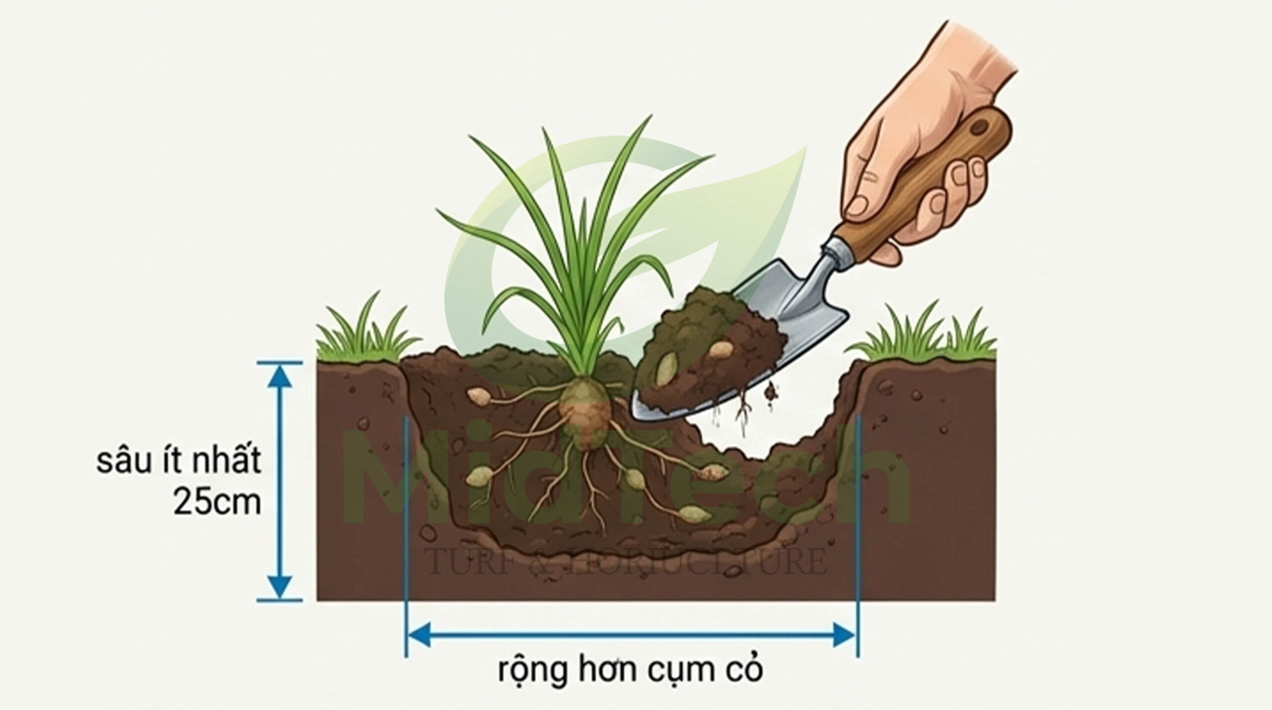 Thuốc diệt cỏ gấu Halo Plus - Loại bỏ thủ công