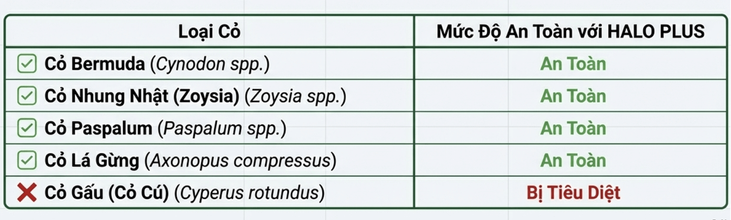 Thuốc diệt cỏ gấu chọn lọc HALO PLUS - An toàn cho thảm cỏ cảnh quan