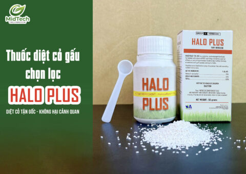 Thuốc diệt cỏ gấu chọn lọc HALO PLUS - Banner Website