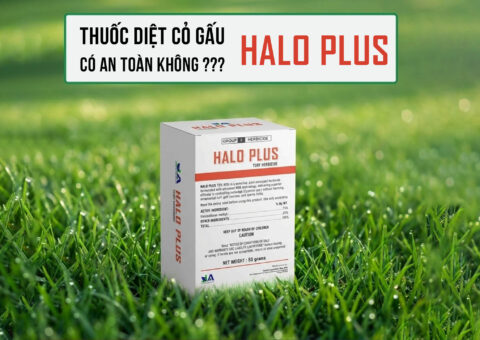 Thuốc diệt cỏ gấu chọn lọc HALO PLUS có an toàn không - Banner Website