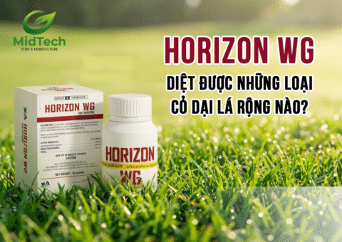 1 Horizon WG diệt được những loại cỏ lá rộng nào 1