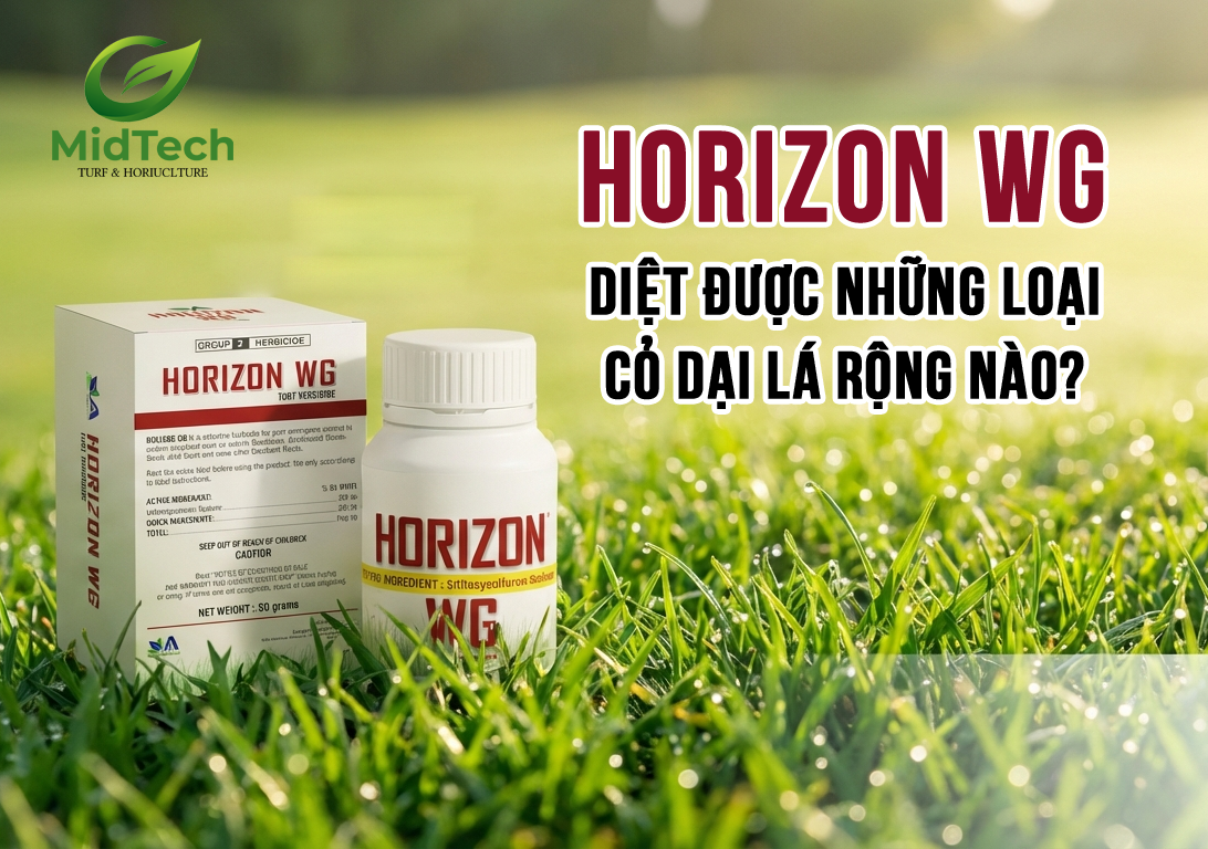 1 Horizon WG diệt được những loại cỏ lá rộng nào 1