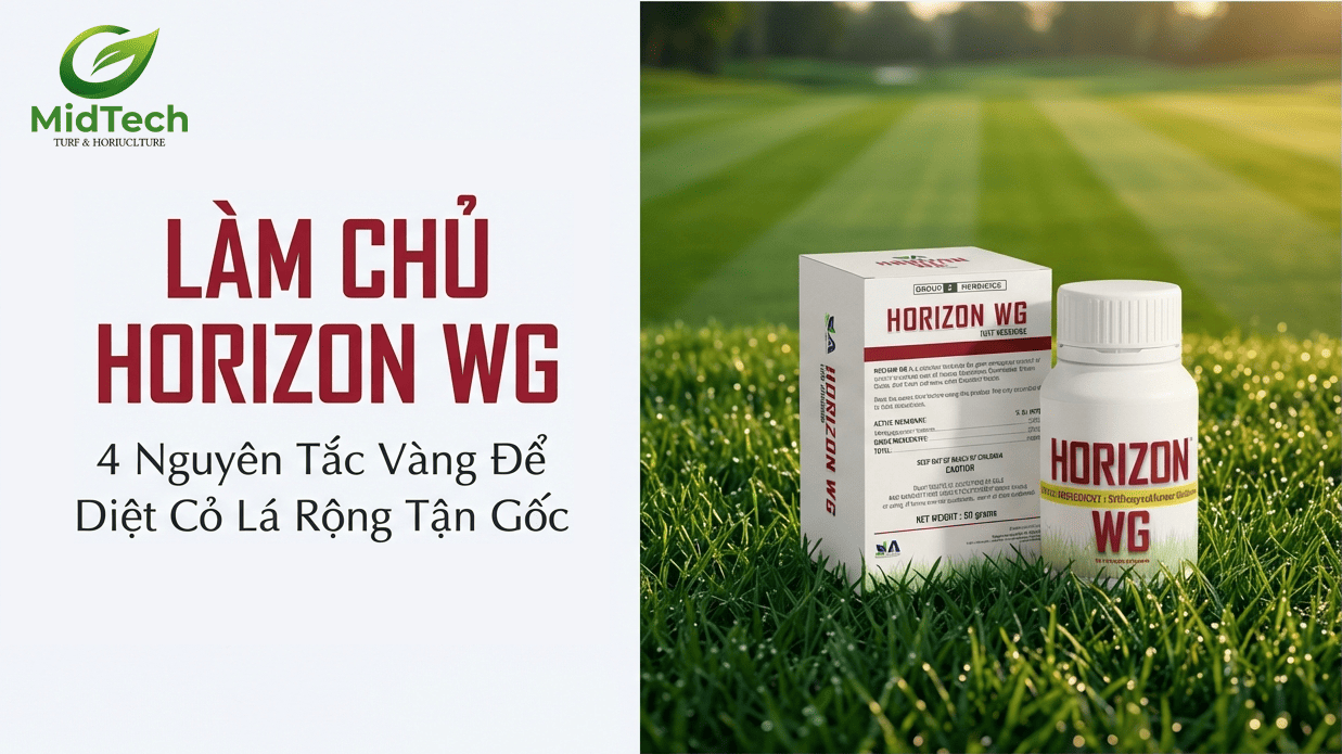 1 Lưu ý quan trọng khi sử dụng Horizon WG