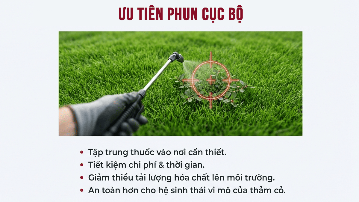 1 Ưu tiên phun cục bộ