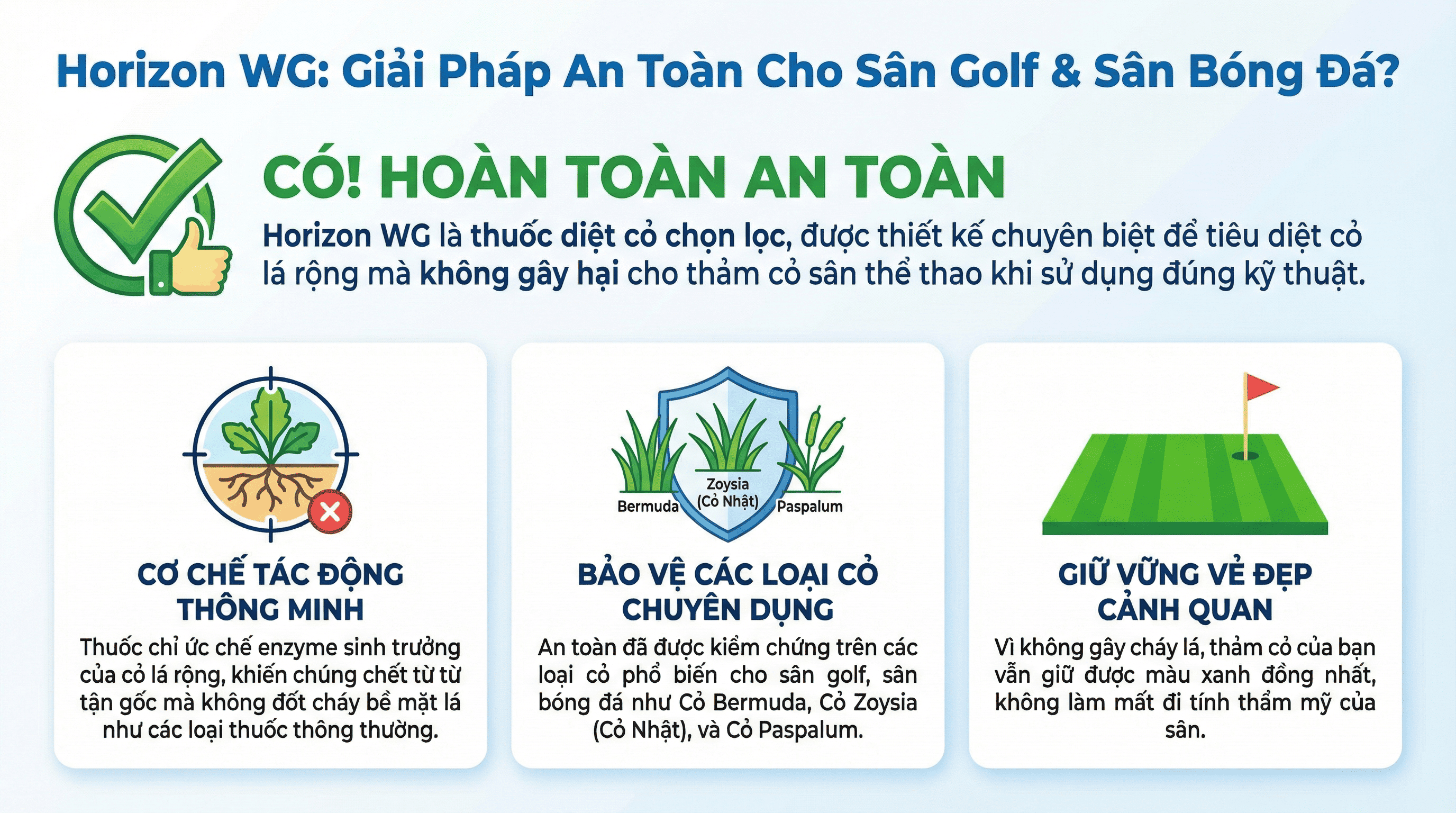 Thuốc diệt cỏ lá rộng Horizon WG có an toàn cho sân bóng đá, sân golf không Thuốc diệt cỏ lá rộng Horizon WG có an toàn cho sân bóng đá, sân golf không