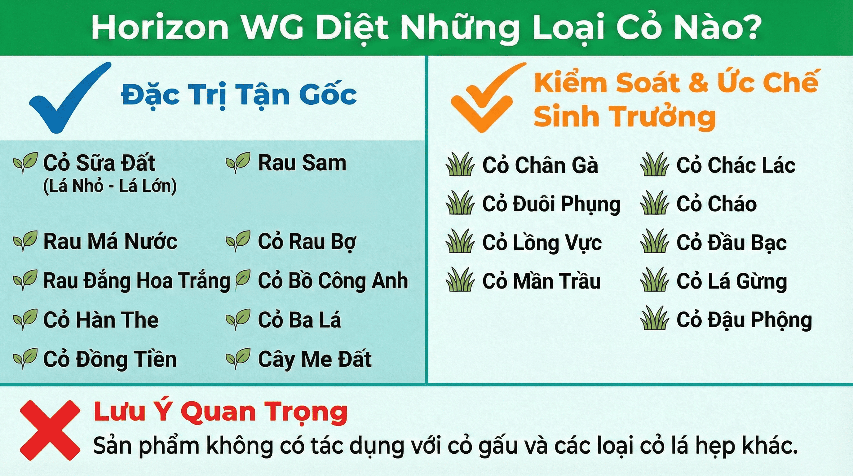 4. Thuốc diệt cỏ lá rộng Horizon WG diệt được những loại cỏ nào-min