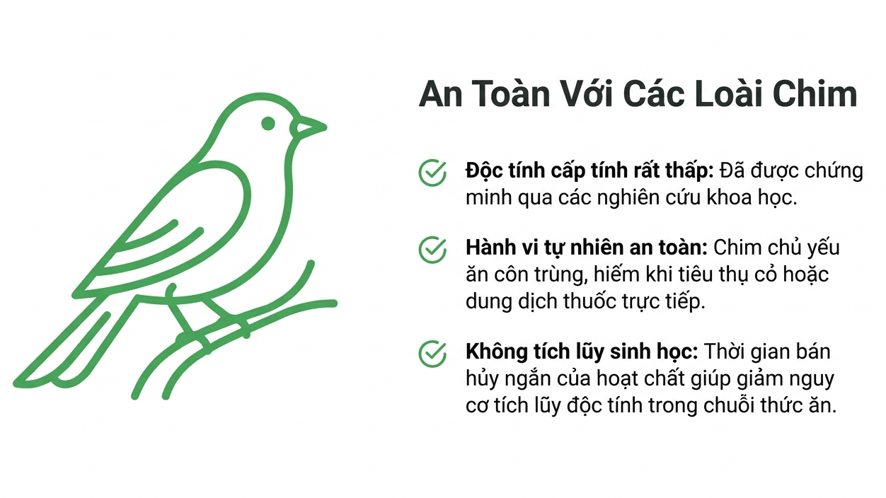 An toàn với chim và cá 1