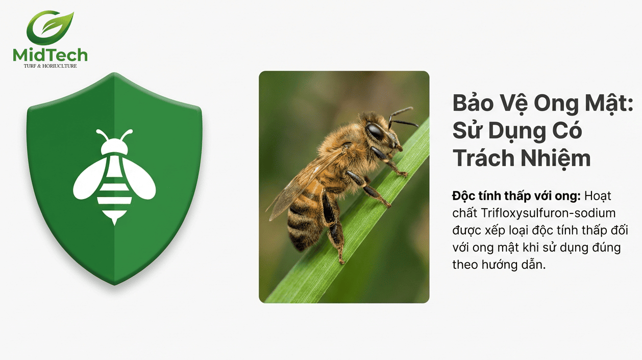 Ảnh hưởng đến ong mật 1