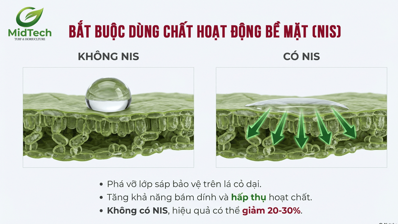 Bắt buộc dùng chất hoạt động bề mặt (NIS)