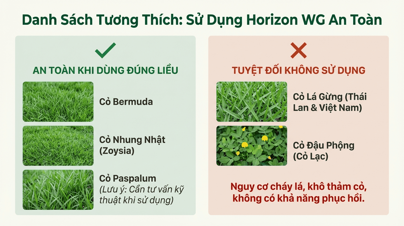 Các loại cỏ cảnh quan an toàn khi dùng Horizon WG Các loại cỏ cảnh quan an toàn khi dùng Horizon WG
