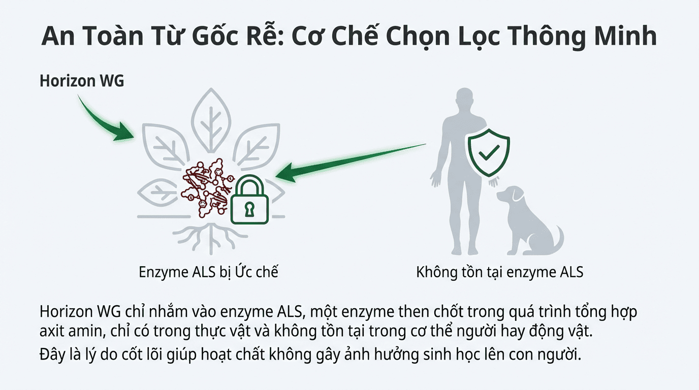 HORIZON WG có an toàn không cho người và vật nuôi - Cơ chế chọn lọc an toàn