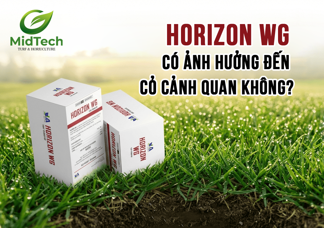 HORIZON WG có ảnh hưởng đến cỏ cảnh quan không?