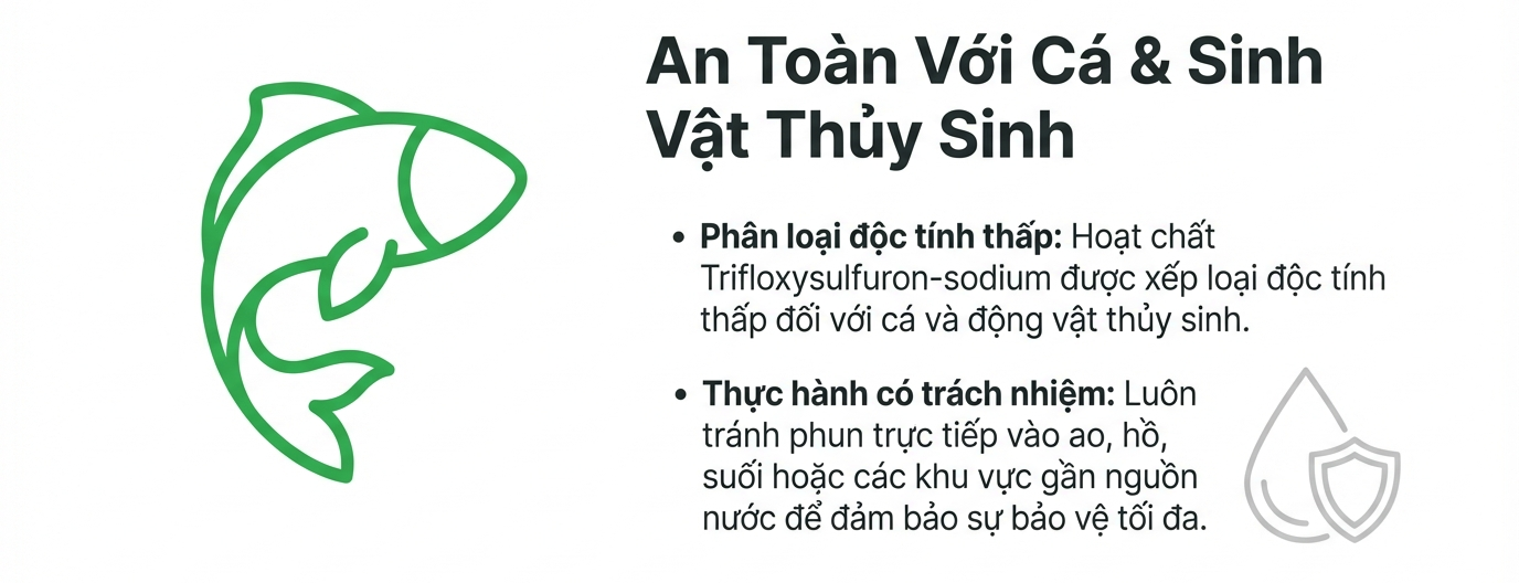Độc tính với cá và động vật thủy sinh 1