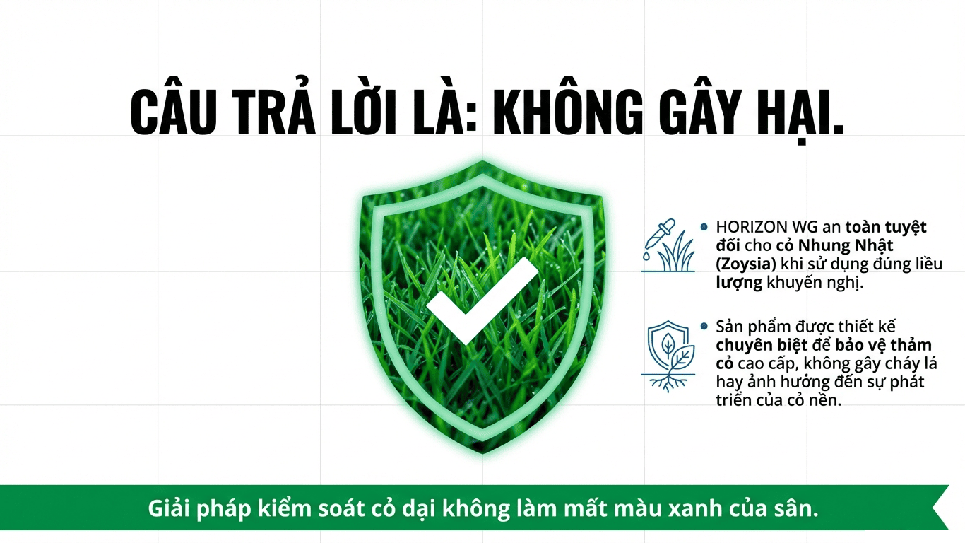 HORIZON WG có ảnh hưởng đến cỏ Nhung Nhật ( Zoysia ) không 2