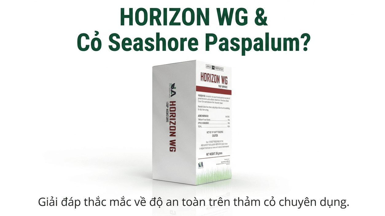 HORIZON WG có ảnh hưởng đến cỏ Paspalum không 1