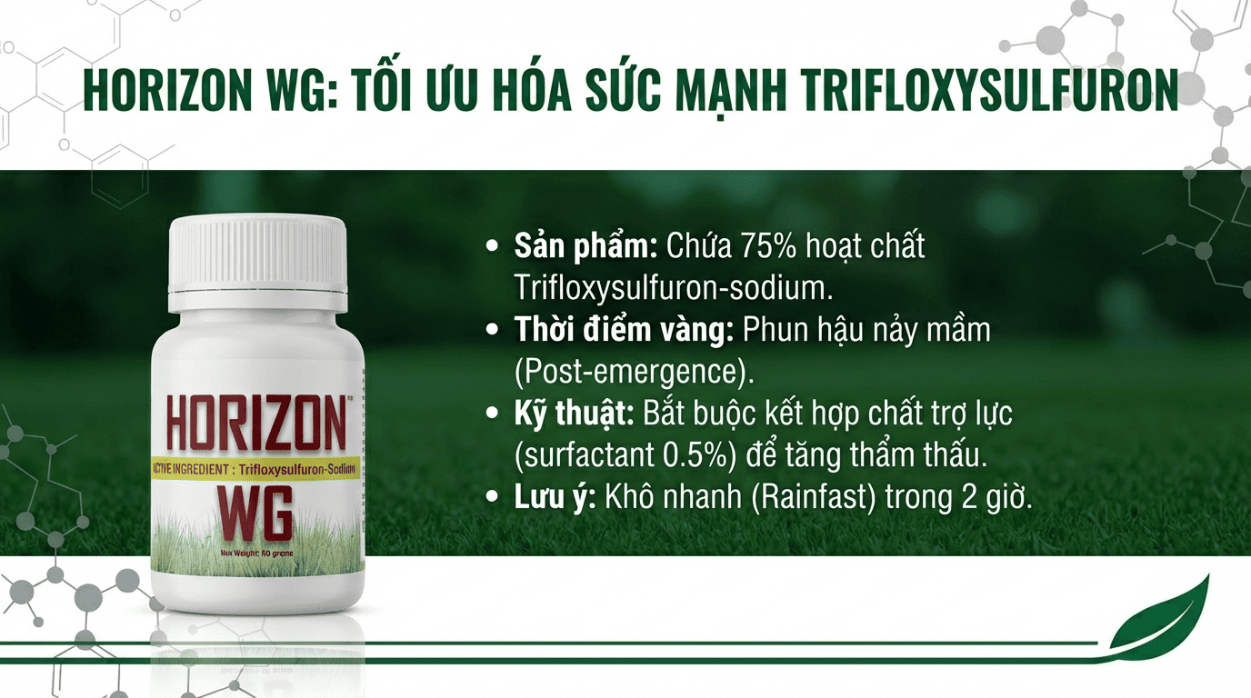 Thuốc diệt cỏ lá rộng chọn lọc là gì 2