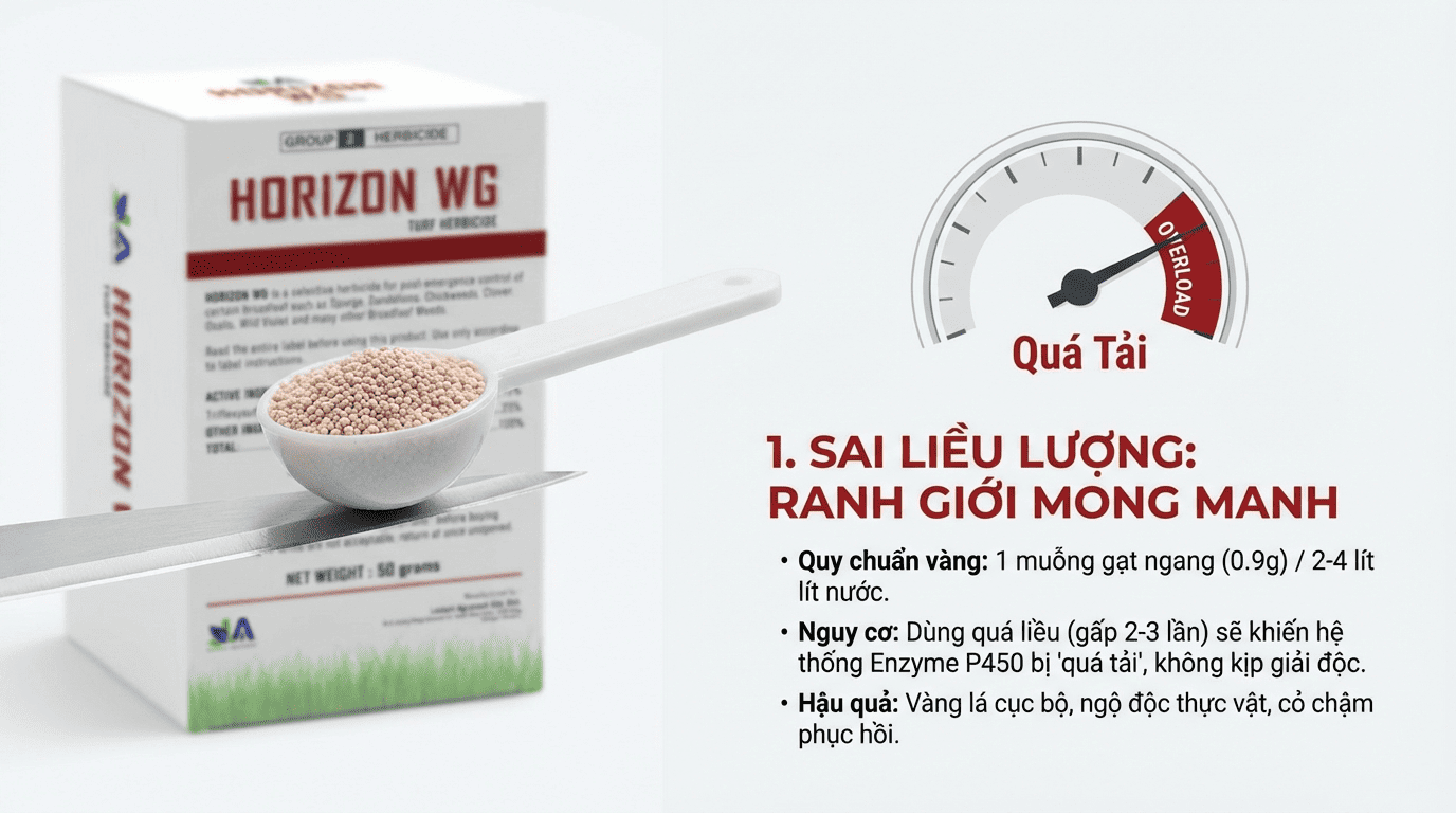 Khi nào HORIZON WG có nguy cơ ảnh hưởng đến cỏ cảnh quan 4