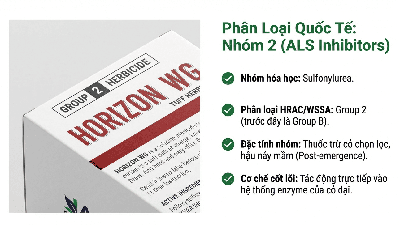 Nguồn gốc và nhóm thuốc của HORIZON WG 4