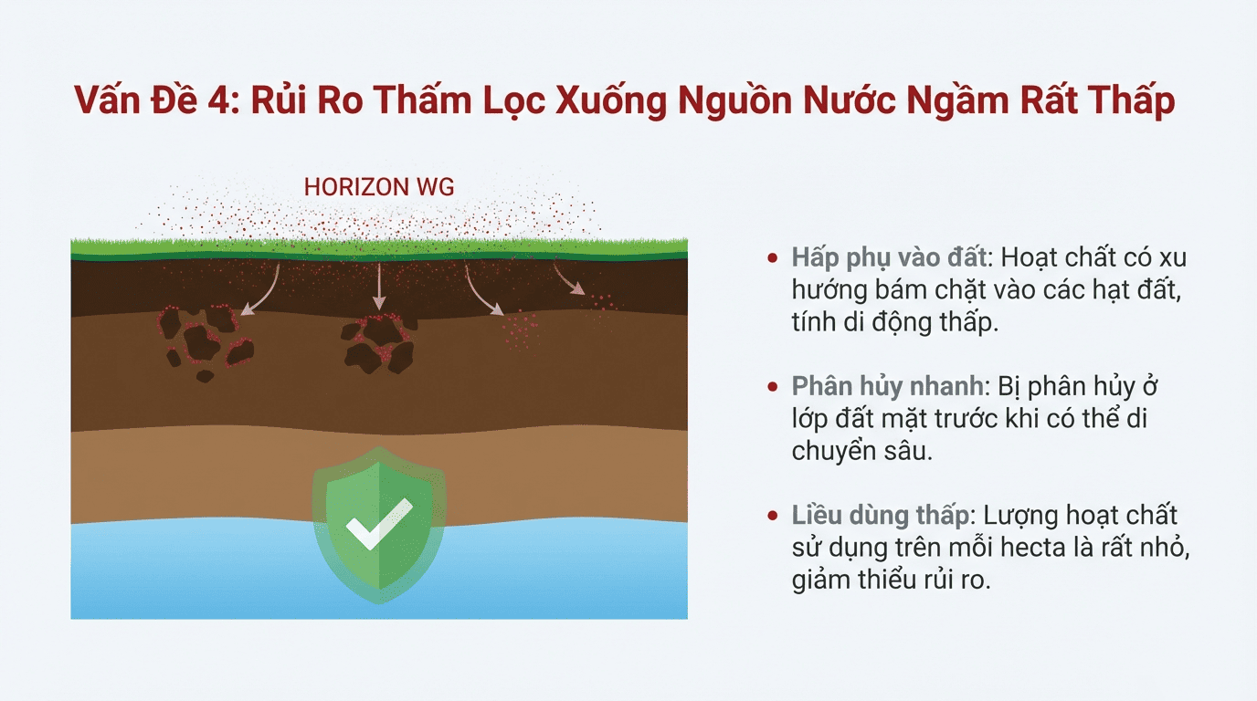 Nguồn nước ngầm