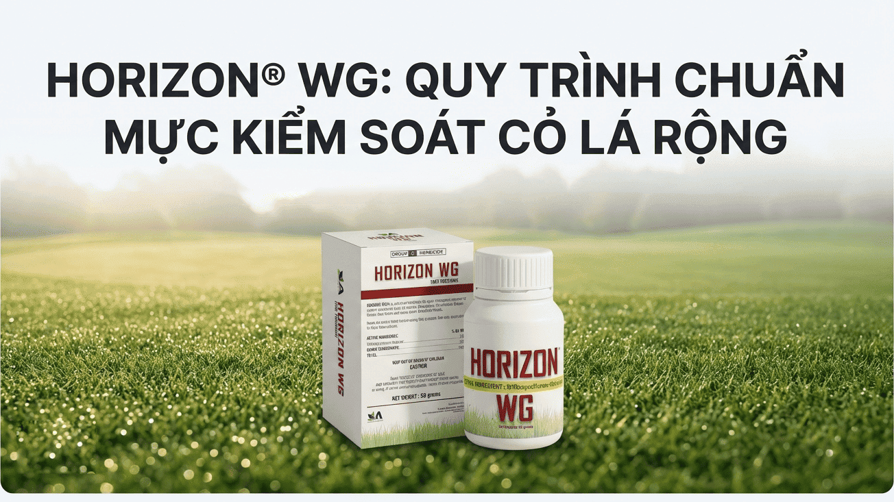 Quy trình pha thuốc cỏ lá rộng Horizon WG chuẩn chuyên gia