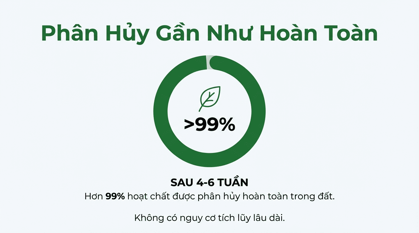 Tác động đến Môi trường - Tồn lưu