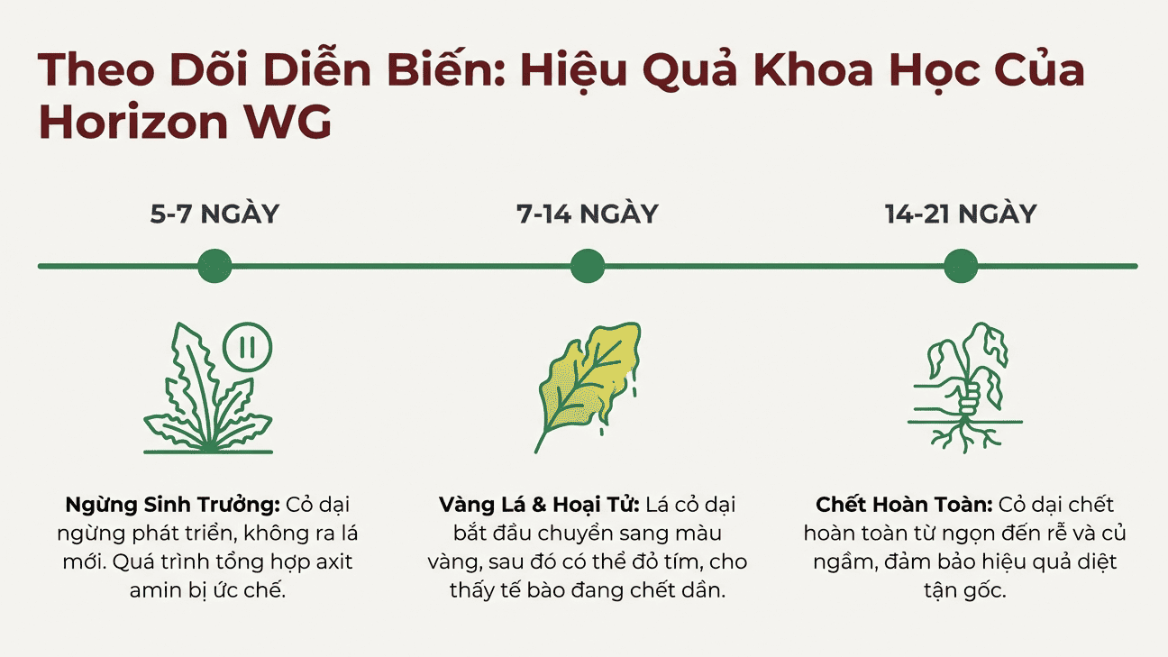 Theo dõi diễn biến hiệu quả của thuốc 1