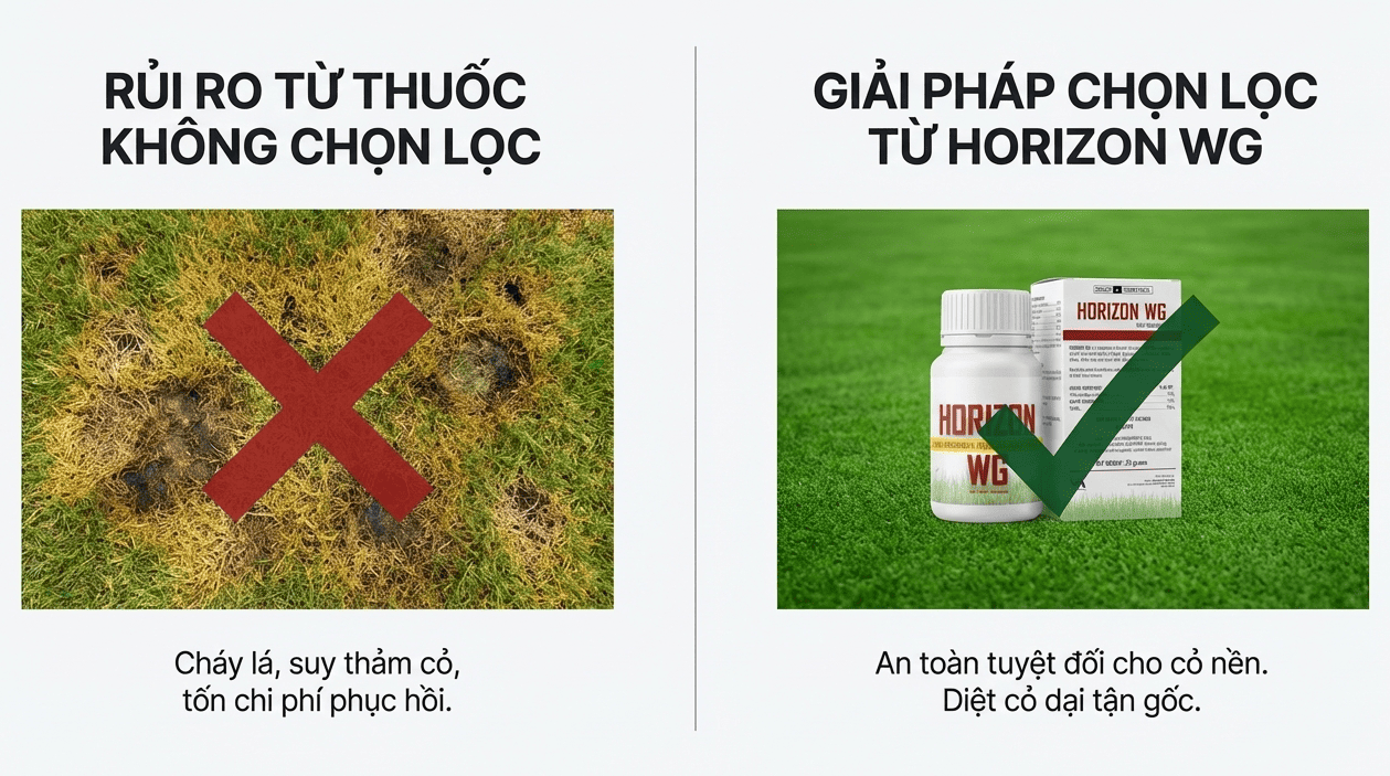 Thuốc diệt cỏ lá rộng chọn lọc là gì Thuốc diệt cỏ lá rộng chọn lọc là gì
